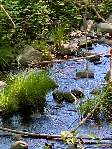 Glen Ellen Airbnb, Glen Ellen VRBO, Glen Ellen vacation rental, Sonoma wine country vacation rental