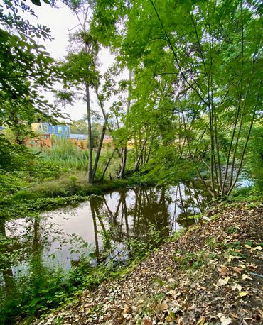 Glen Ellen Airbnb, Glen Ellen VRBO, Glen Ellen vacation rental, Sonoma wine country vacation rental