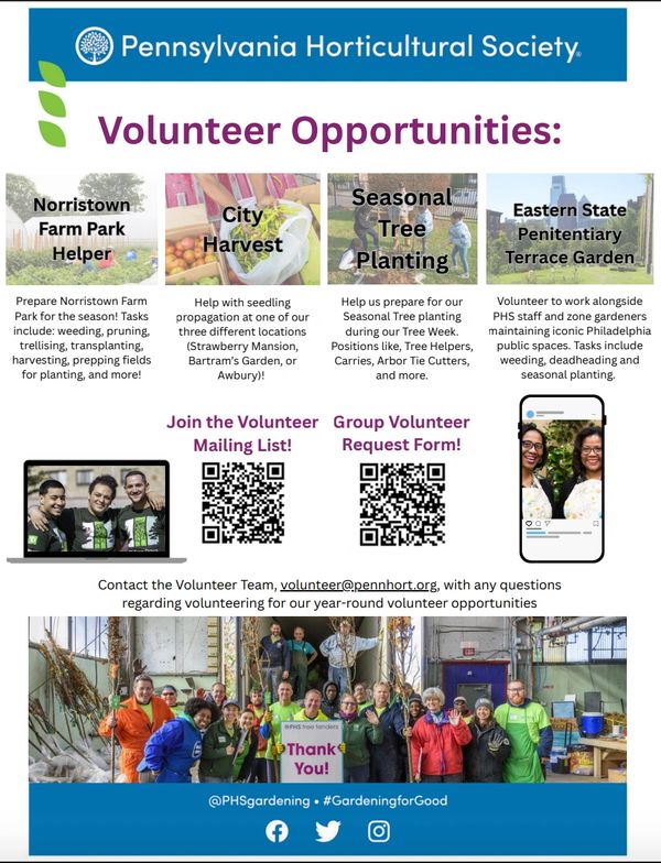 Flyer created for PHS Volunteer Opportunities