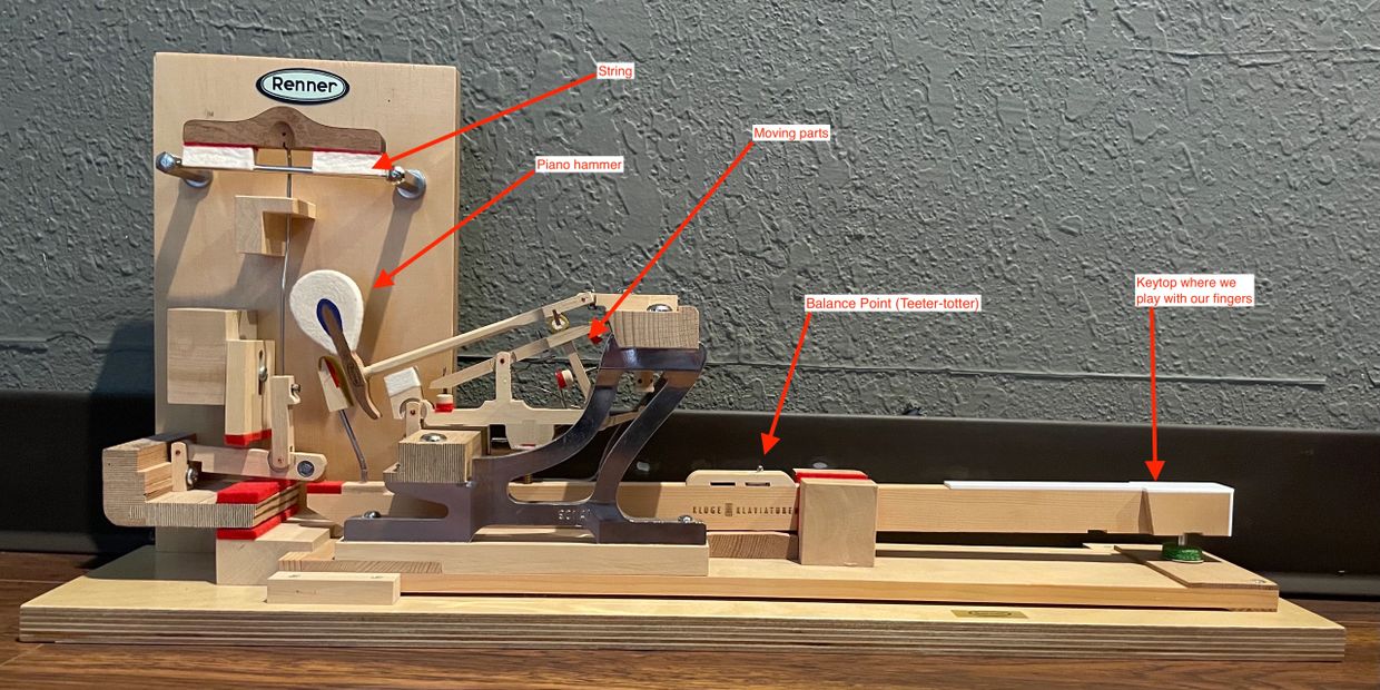 A model of how a grand piano action works.