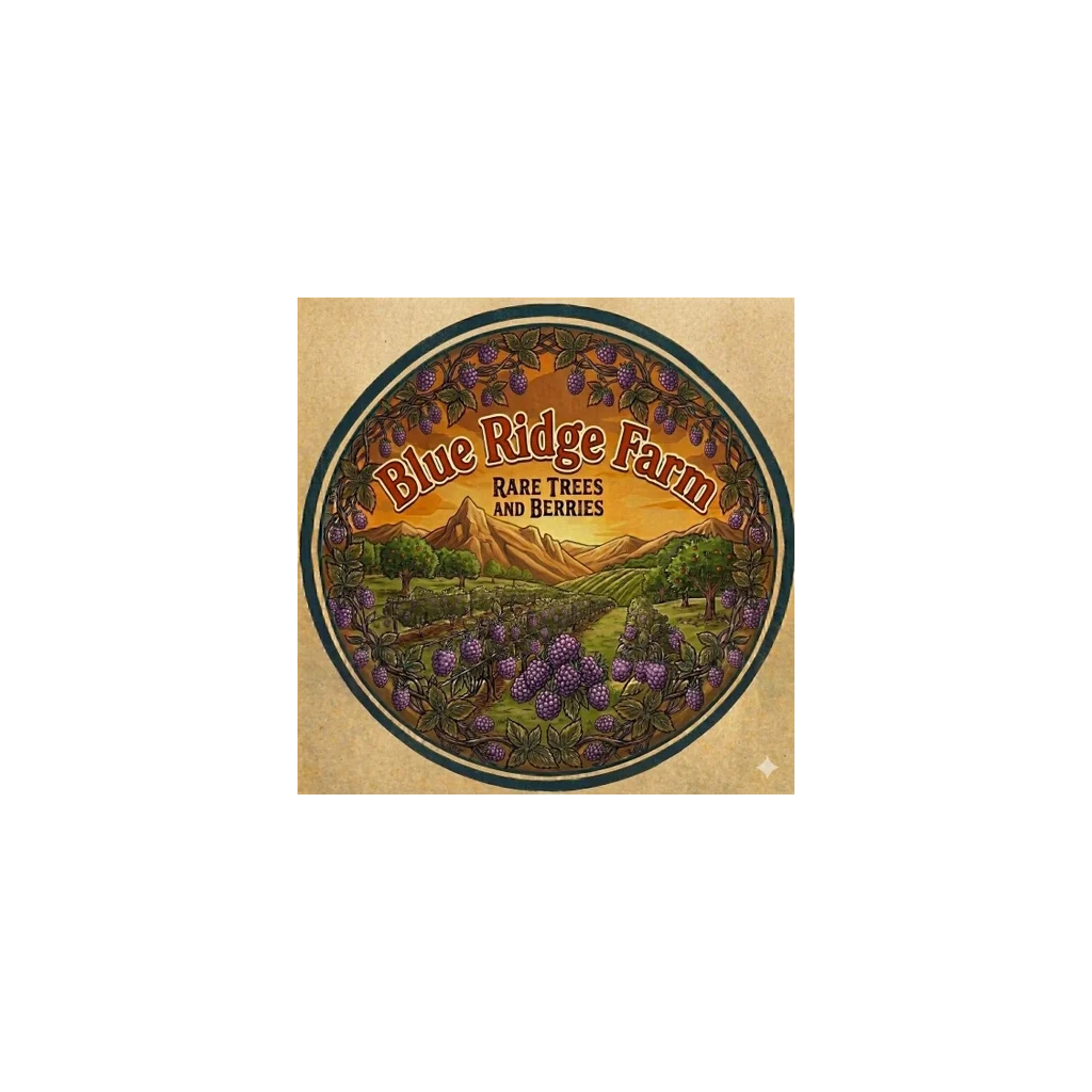 Blue Ridge Farms Risotto Blue Ridge Orchards