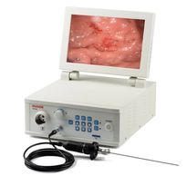 huger entrusted video endoscope