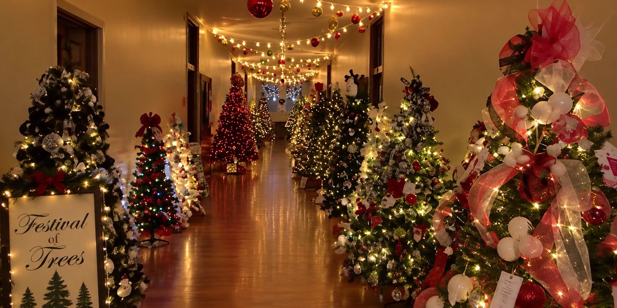 A hallway decorated with multiple Christmas trees and lights.