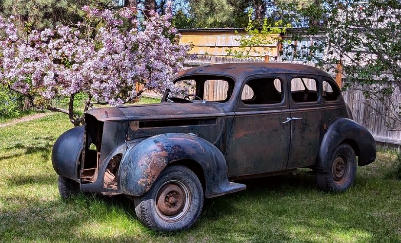 1940 packard (future rat rod)