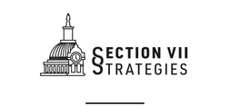 SECTION VII STRATEGIES llc