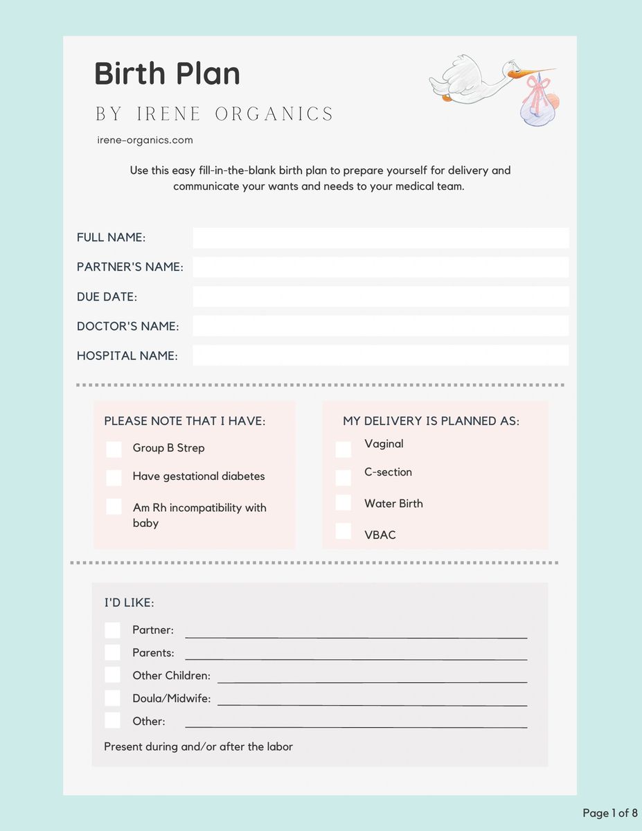 Birth Plan Template Printout