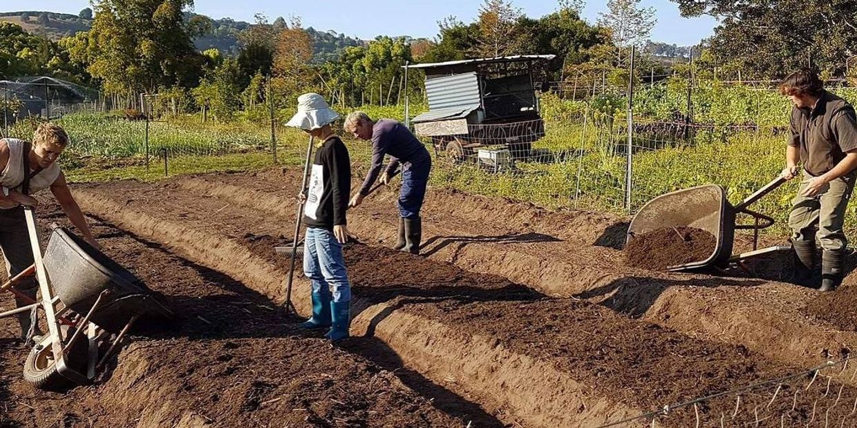 team regenerative farming