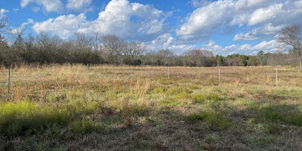 rotational grazing electric fencing set up