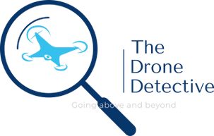 The Drone Detective