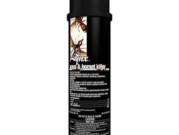 wasp hornet indoor outdoor bug insect spider ants roach