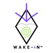 Wake-In