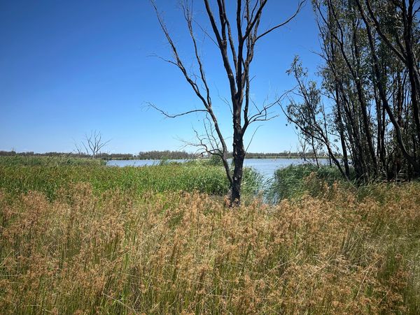 Dharawal Environment and Heritage