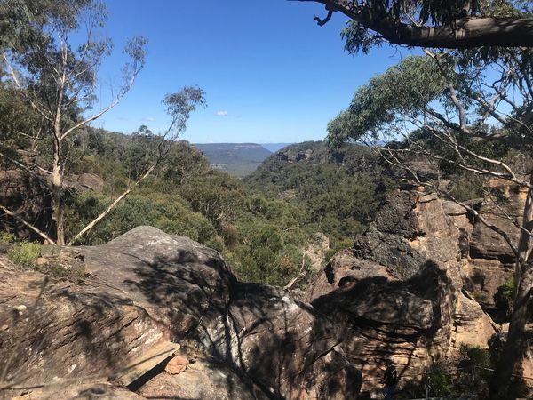 Dharawal Environment and Heritage