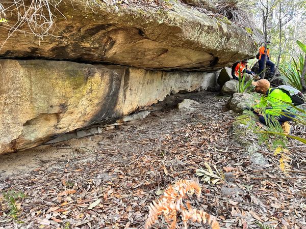 Dharawal Environment and Heritage