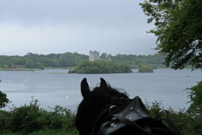 View from behind a horse looking at a lake and a distant castle.