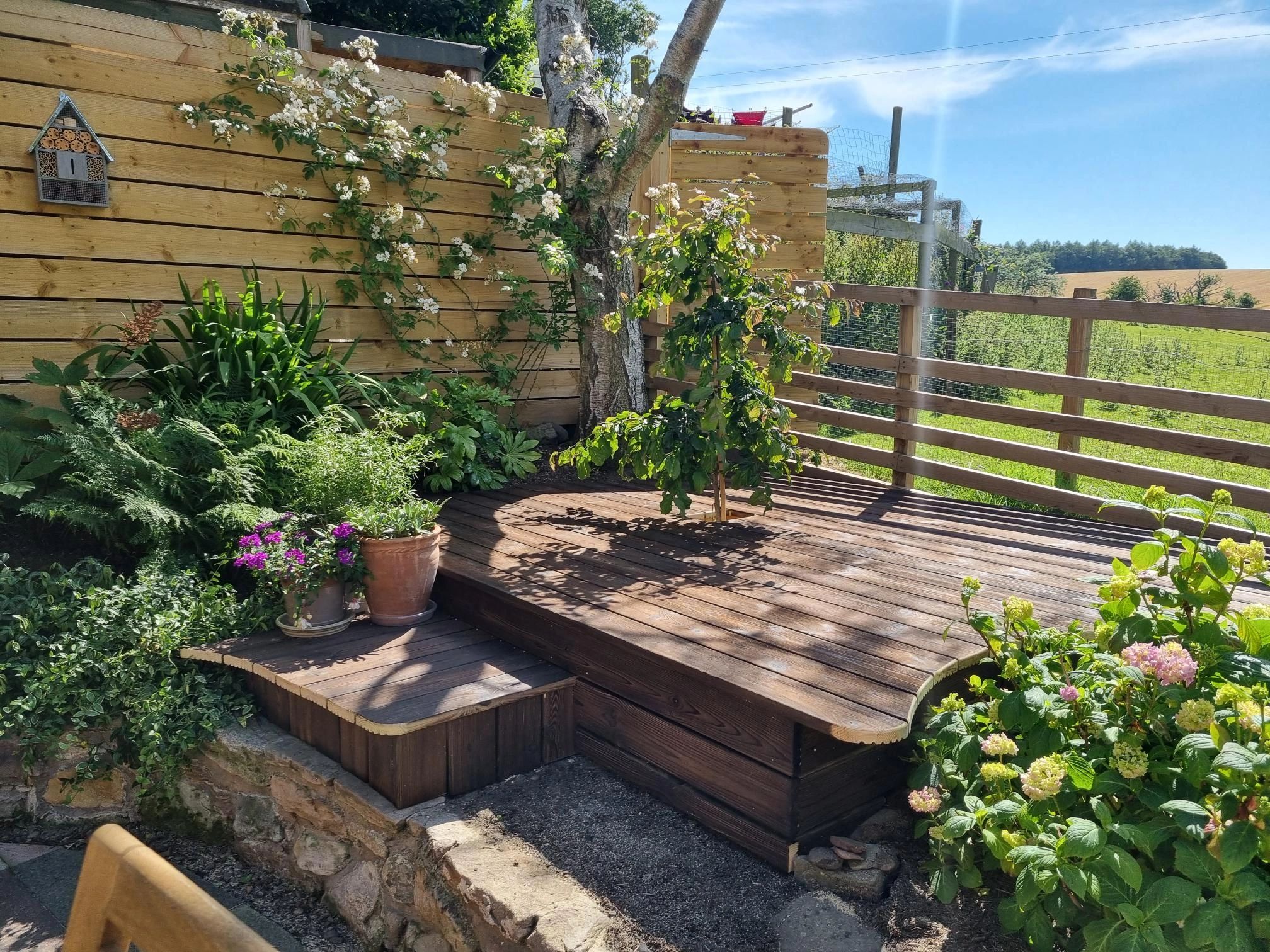 Charred Wood Decking (Shou Sugi Ban) finished with Osmo Decking Oil. 