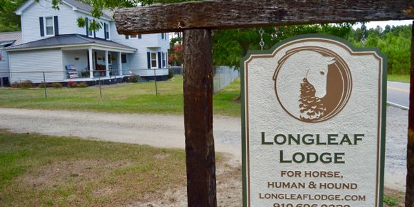 Longleaf Lodge is a horse, human, and hound boarding lodge and farm established in 2015. 