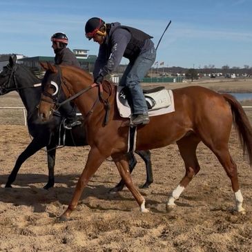Two jockeys riding horses on a sandy track under a clear sky.