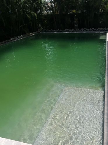 Green pool