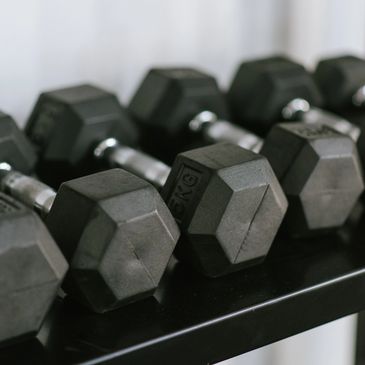 A row of hexagonal dumbbells on a rack in a gym.