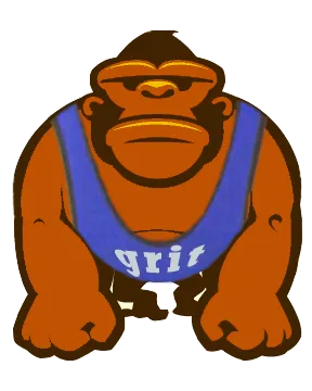 GRITATHLETICS.COM