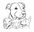 Duke's Pet Care