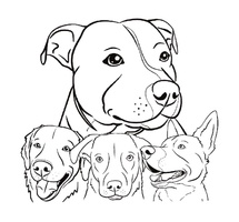 Duke's Pet Care