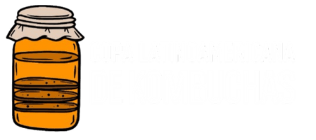 Copa Latinoamericana de Kombuchas