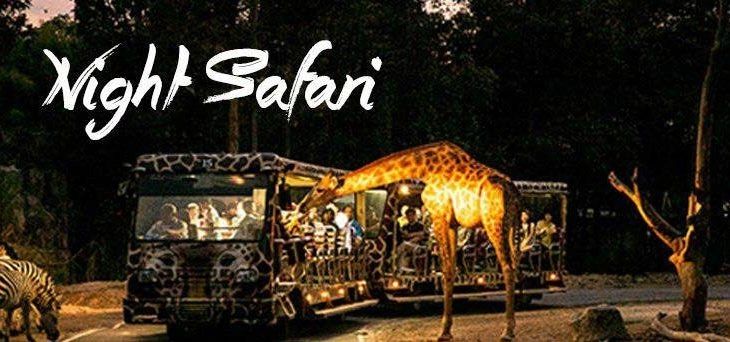 NIGHT SAFARI + TRAM NIGHT SAFARI + TRAM