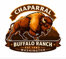 Washington Buffalo