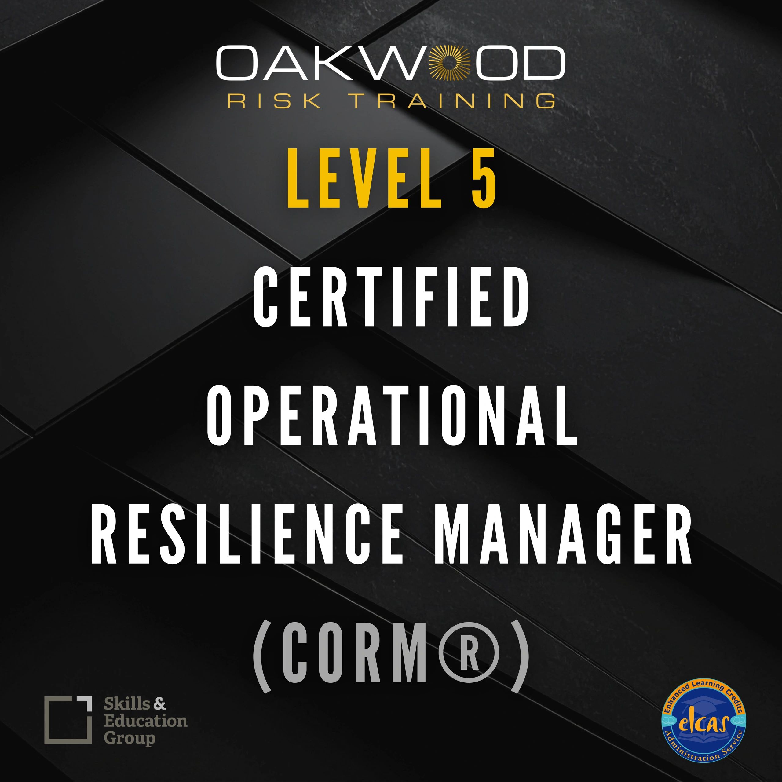 Certified Operational Resilience Course. 