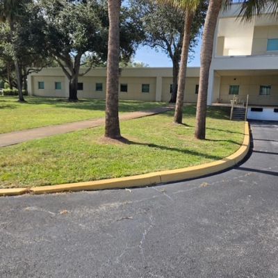 Curved driveway around palm trees near a building.