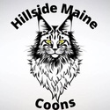 Hillside-Maine Coons 