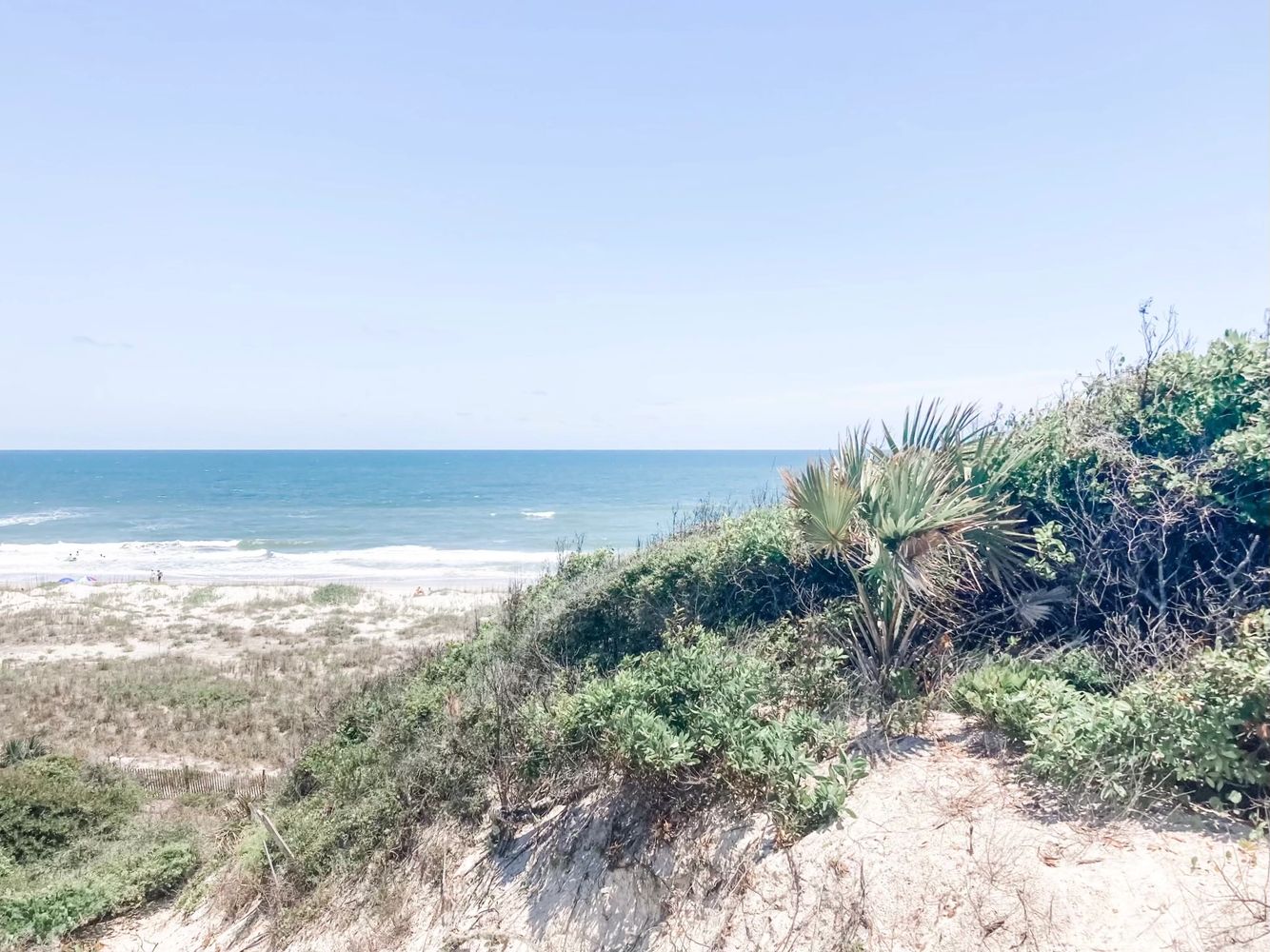 Beautiful sand dunes protect the pristine beaches of Amelia Island, Florida.
