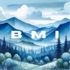 Blue Mountain Investigations