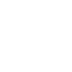 DESERT BEER BURROS