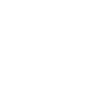 DESERT BEER BURROS