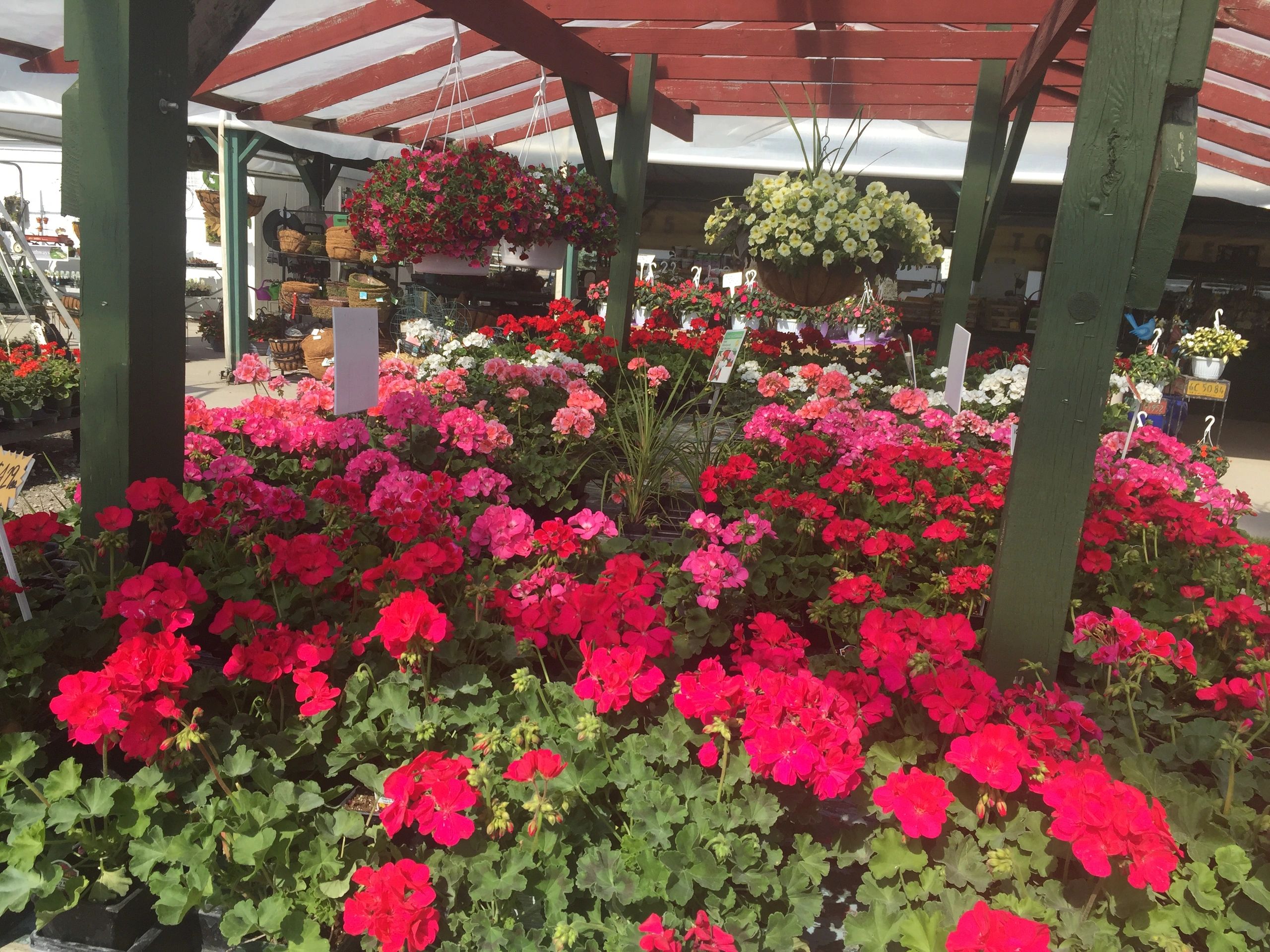 Vans Valley Flowers, Greenhouses