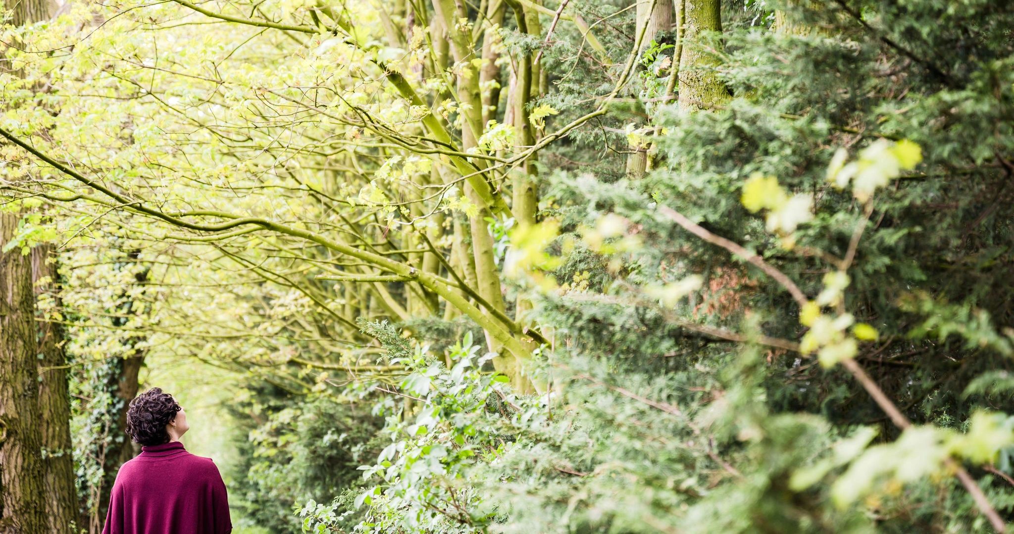 Woman gazing into trees