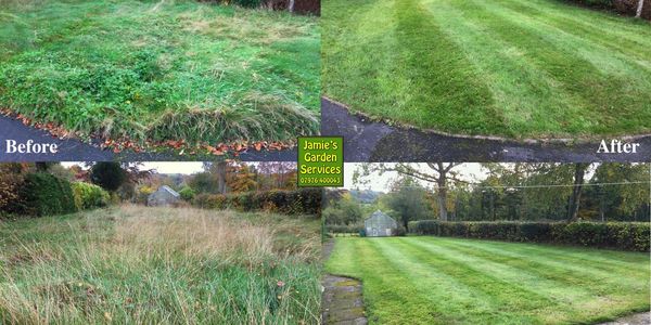 Reclaiming overgrown gardens   Llandrindod Wells Rhayader Builth Wells Powys Mid Wales