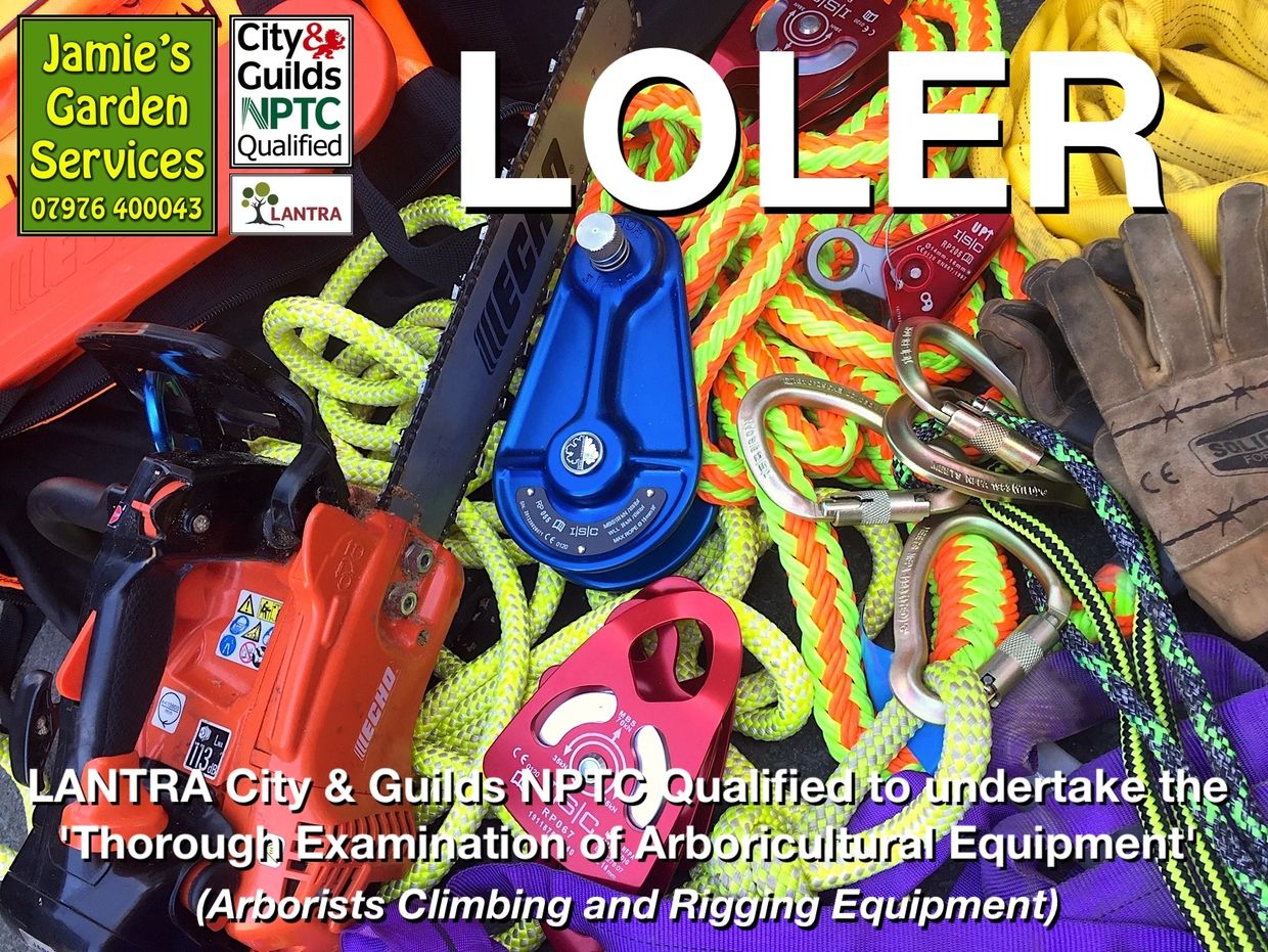 LOLER Examination of Arborists Climbing & Rigging Equipment Powys Mid Wales Ceredigion Herefordshire