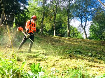 Clearance of Long Grass and Weeds on Rough Areas and Banks. Fully NPTC Qualified and Insured