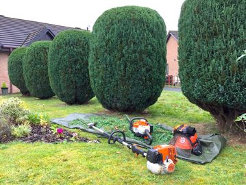 Fully NPTC Qualified, Insured grounds maintenance hedge cutting Mid Wales Powys, Llandrindod Wells