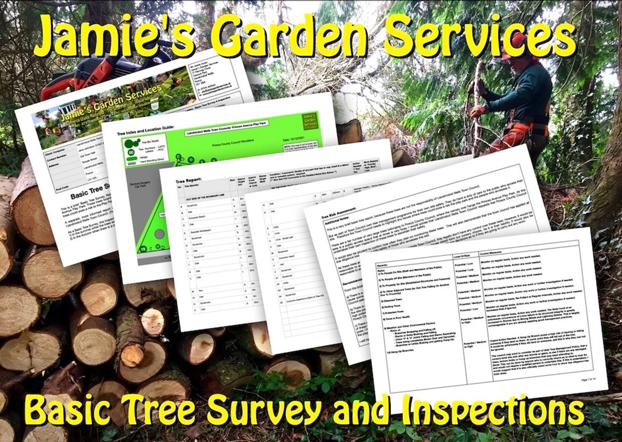 Basic Tree Survey and Inspections  Llandrindod Wells, Rhayader, Builth Wells