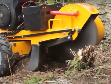 Fully NPTC Qualified and Insured Arborist for Grinding Tree Stumps