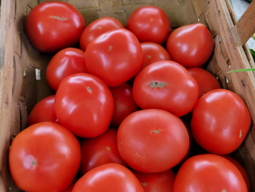 Beefsteak Tomatoes