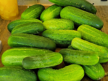 Pickling Cukes