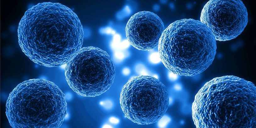 kök hücre adana 
mezenkimal kök hücre 
uzm dr kadir güler