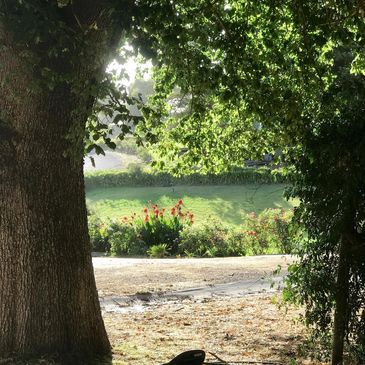 Adelaide Hills Wedding Venue Farm Wedding Garden