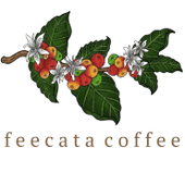 feecata coffee
